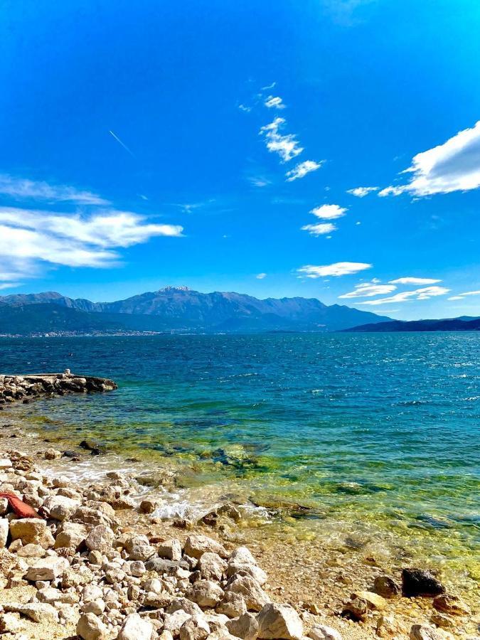 Vamos A La Playa - Djenovici * Ðenovići